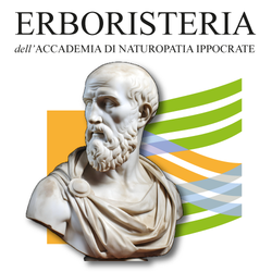 ACCADEMIA IPPOCRATE srl